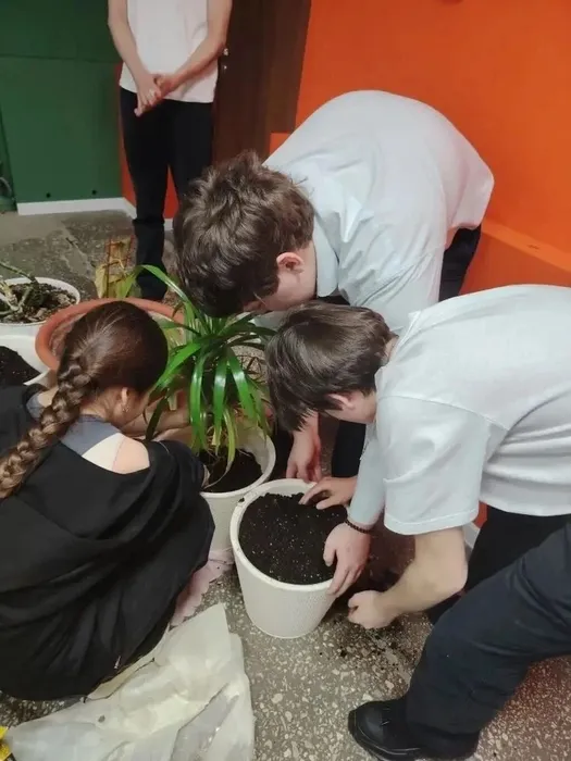 1177db92-60d0-4409-a074-3403e34d0913