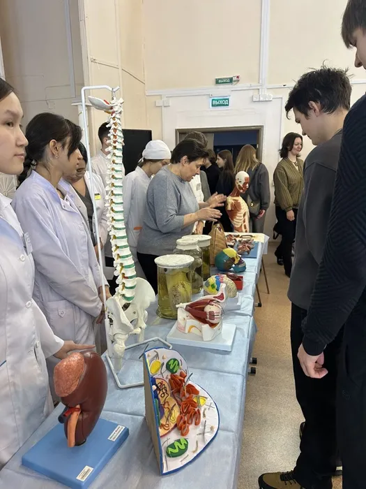 image-17-03-26-02-40-2